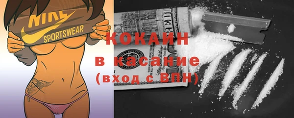 винт Лагань
