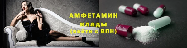винт Лагань