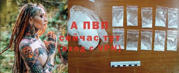винт Лагань