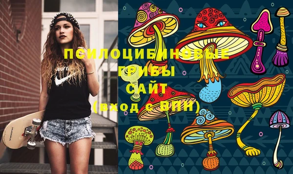 винт Лагань