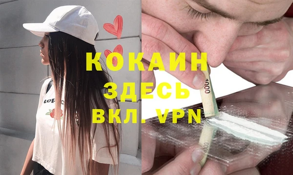 не бодяженный Ладушкин