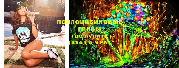 гашик Кулебаки