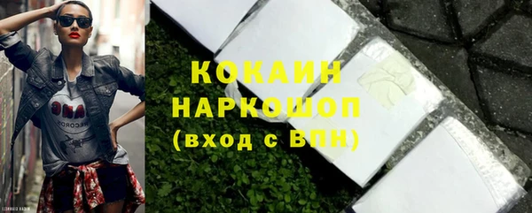 гашик Кулебаки
