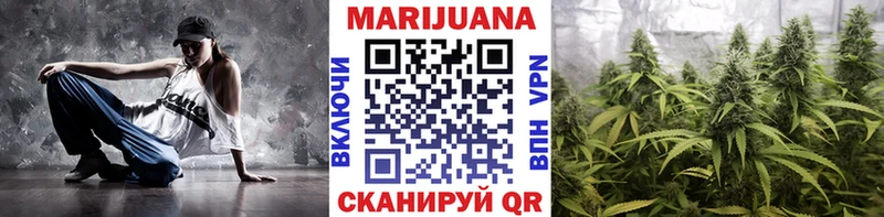 Купить где  Конаково  Каннабис индика 
